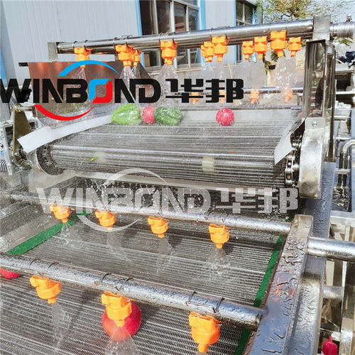 蔬菜清洗機(jī) 現(xiàn)代廚房的高效護(hù)衛(wèi)